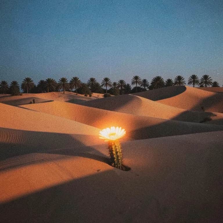 غوصي بقلبي13