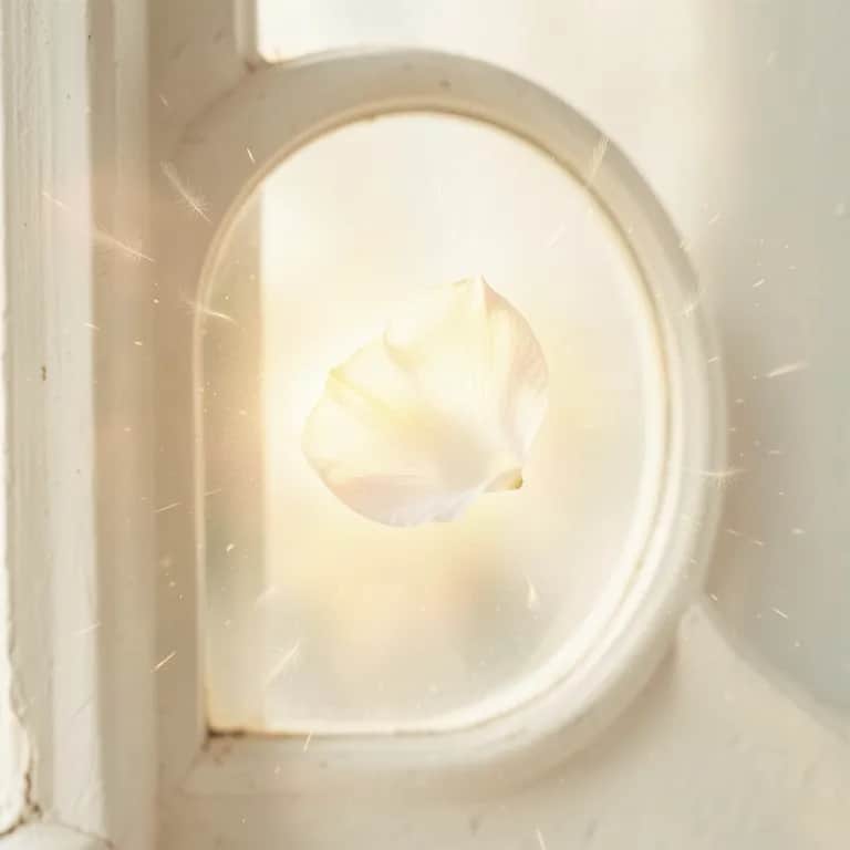 Petal On The Ground