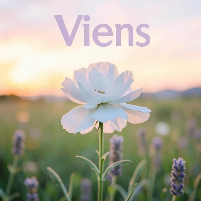 Viens