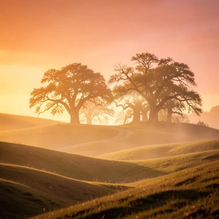 Това сме ние