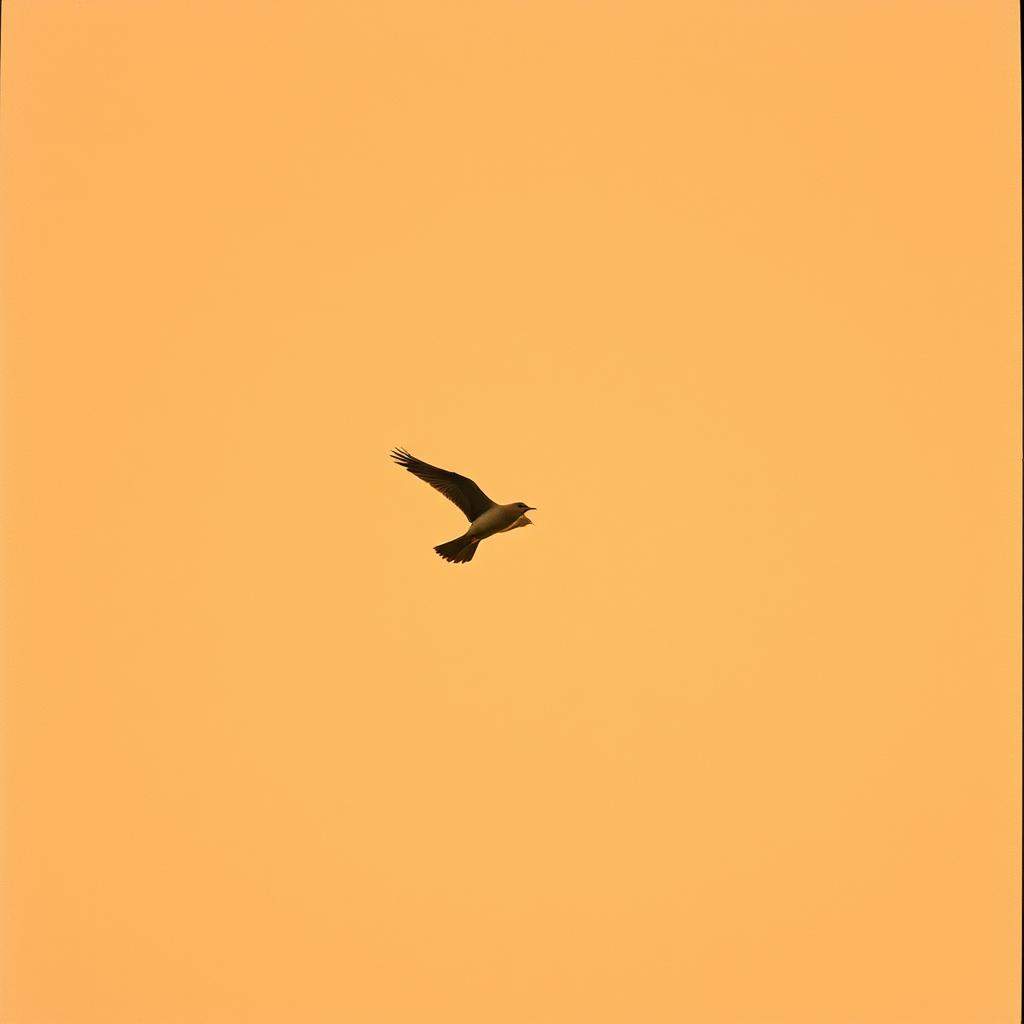 Wings of Rust