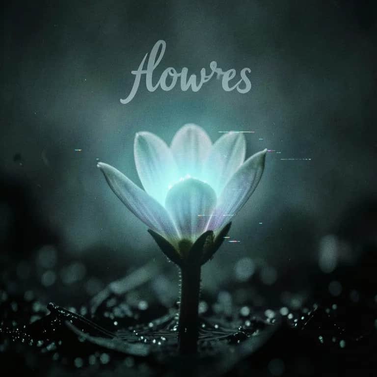 Flawers