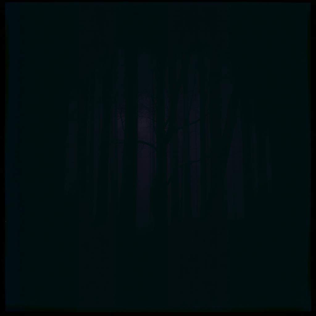 My final Stand