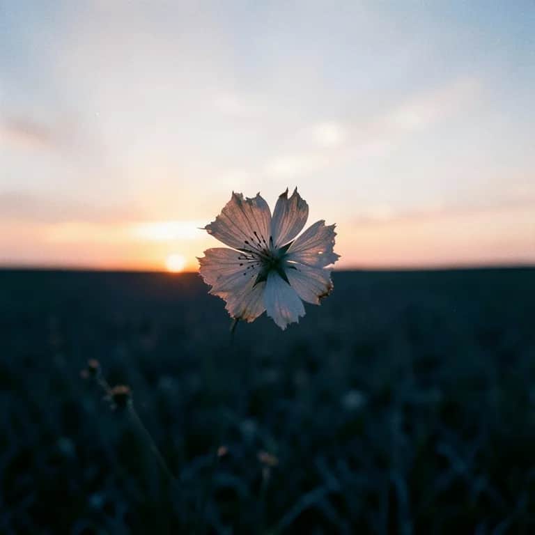 Enough To Let You Go