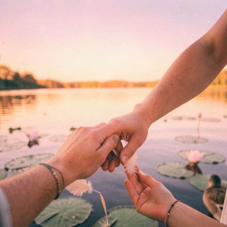 Feeding Ducks, Holding You