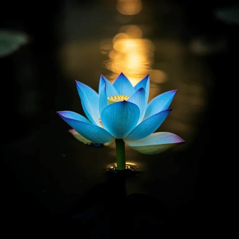 Strong in the Mirror