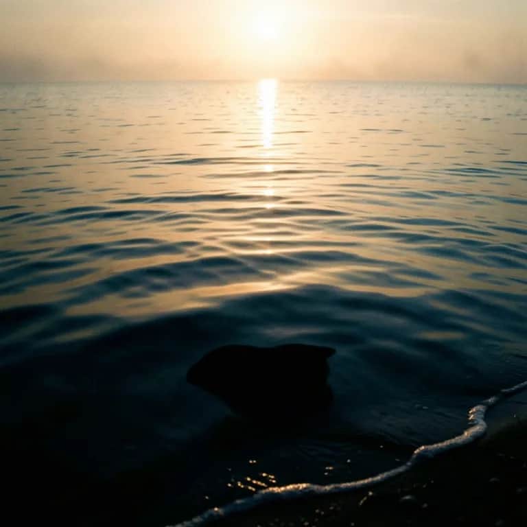 Still Water Black
