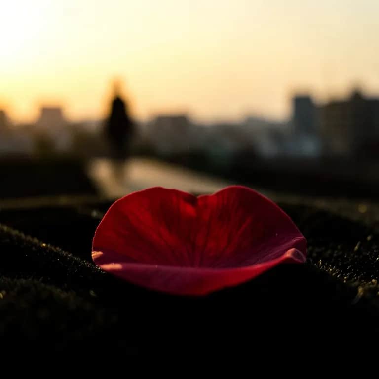 “Taste My Name (Special for Queen)”