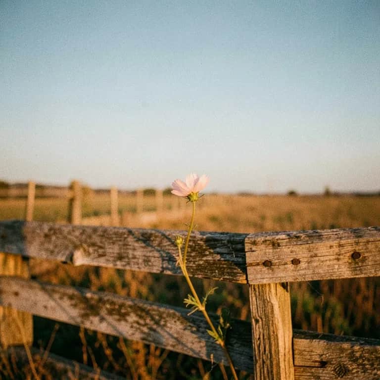 Good Years, Good Goodbye