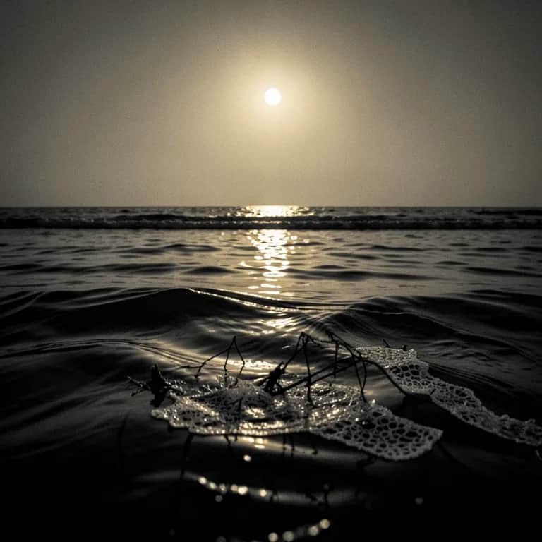 Nocturne Of The Undertow
