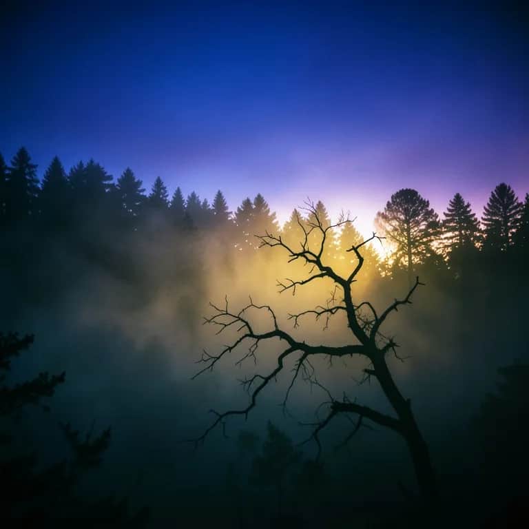 Monkɔ nkɛka Asɛmpa no