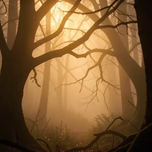 The Love I Think I Deserve