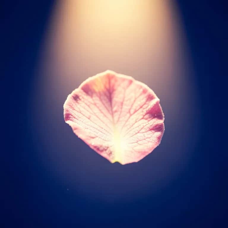 Not obsession but love