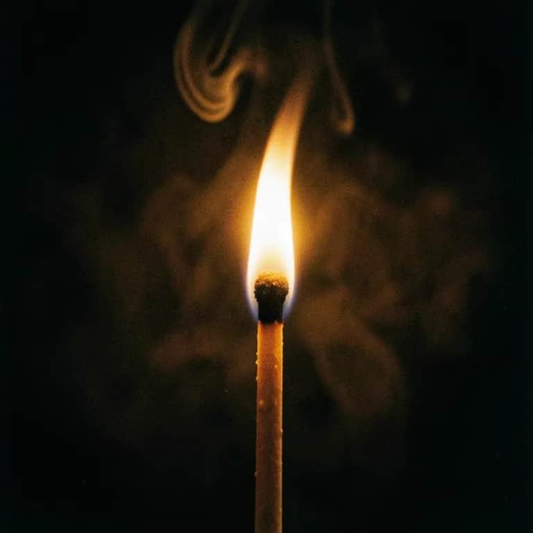 Set the World on Fire