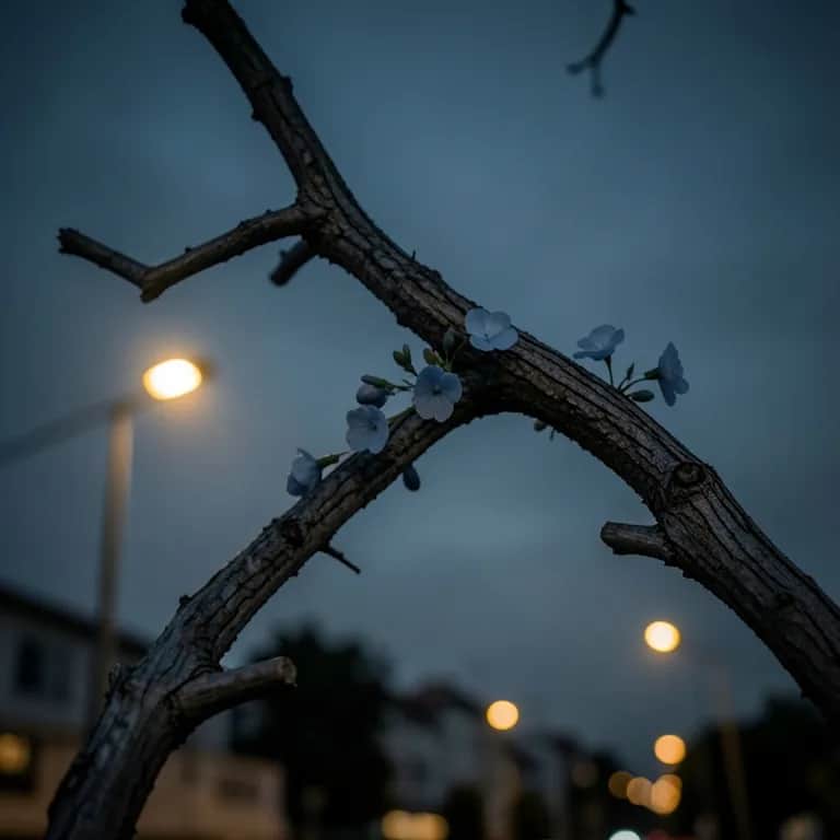 Luna - Pani igiełka