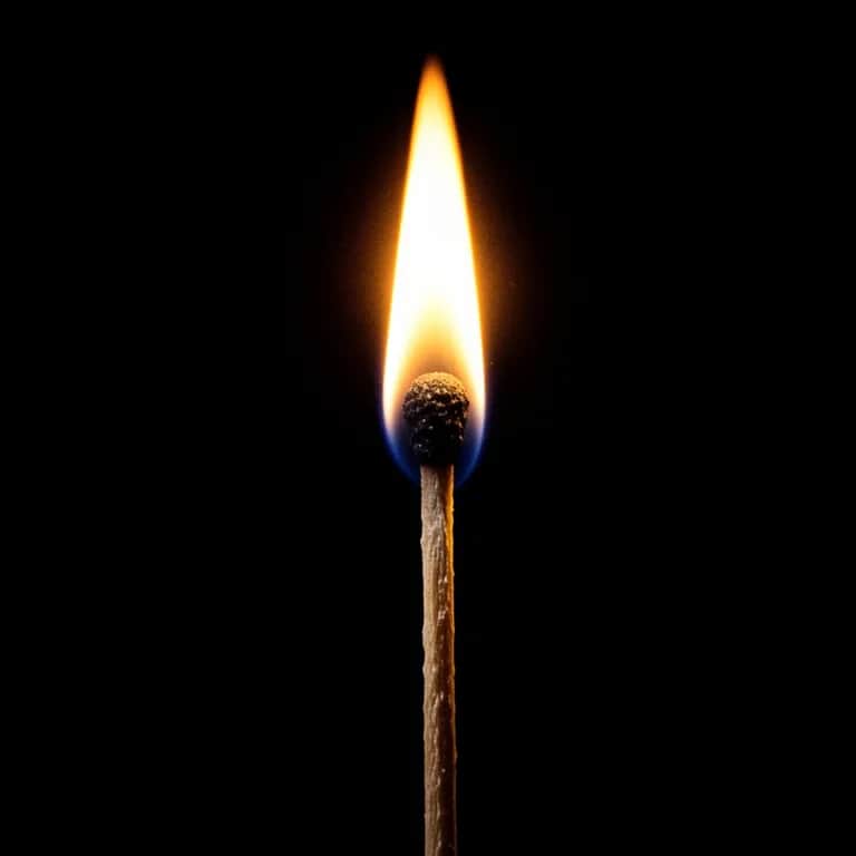 Fuel the Fire