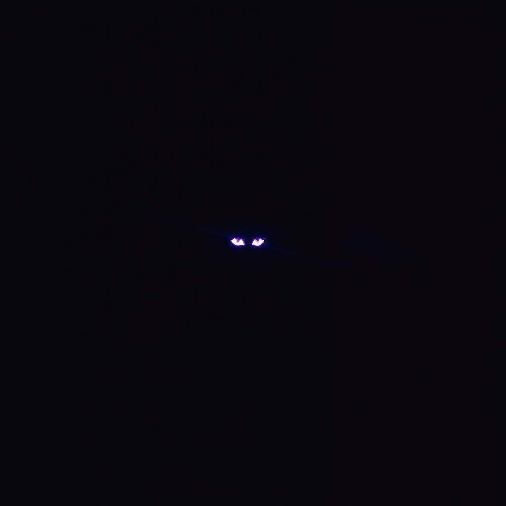 Stalking