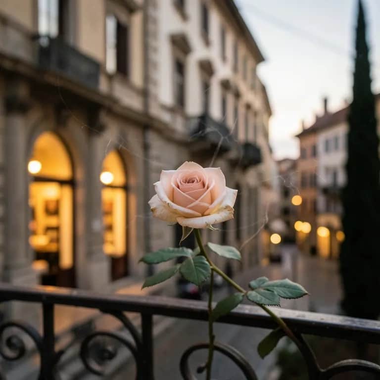 Sogno Italiano