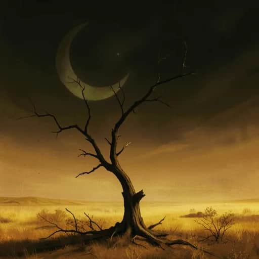 “Despite It All”