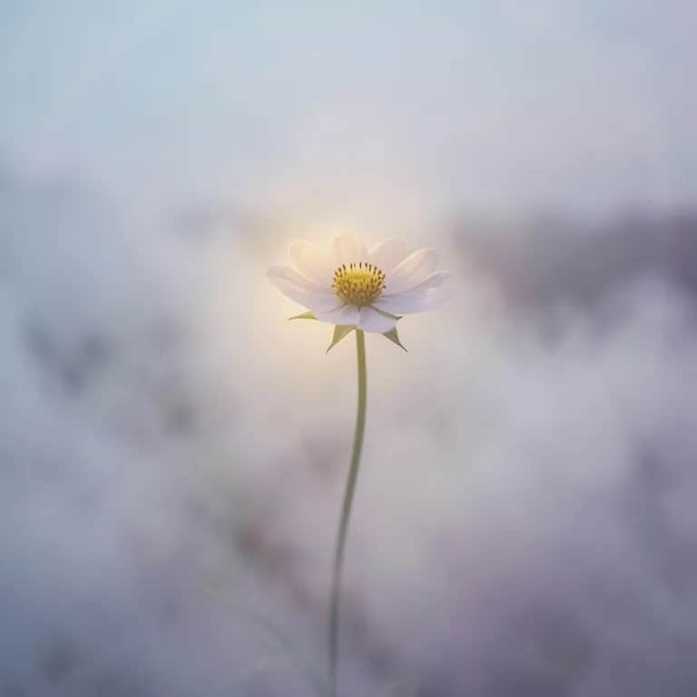 Halvány virág száll