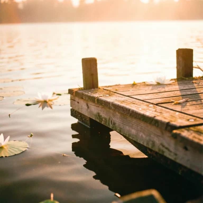 Hold Me Through the Storm