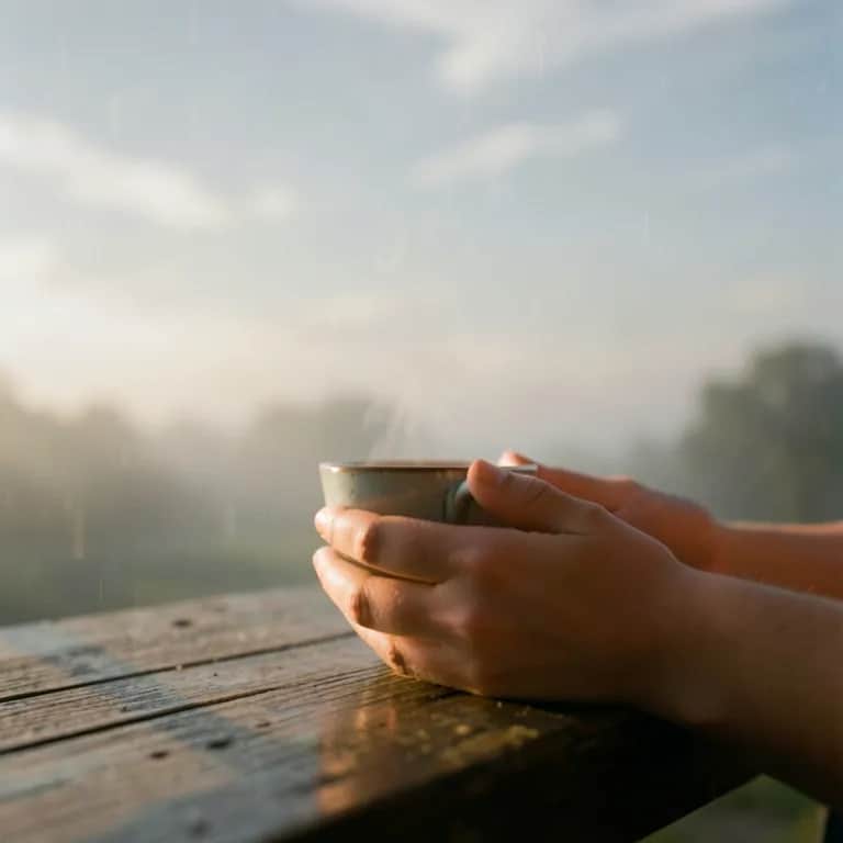 Gray Between the Days