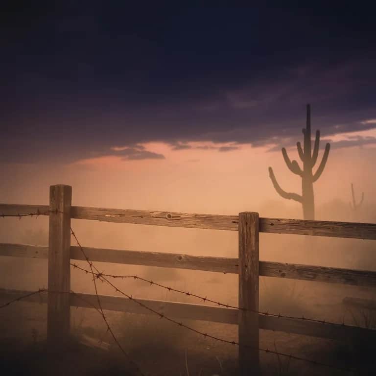 Stronger Than Your Lies