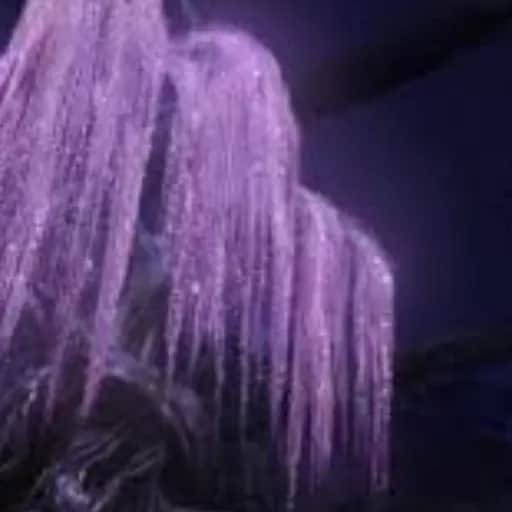 The Power & The Life