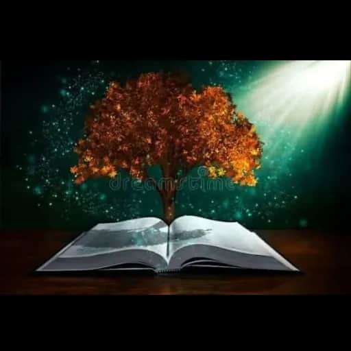 OuttautuNe1779Seewhoweare