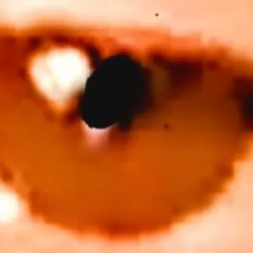 ?EyeAmENKriptDiD1779¿