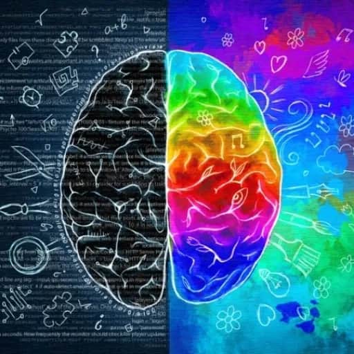 PL4YL1ST•BLOOD•DIAMOND•VORTEX•