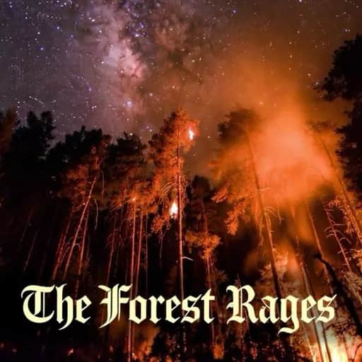 The Forest Rages