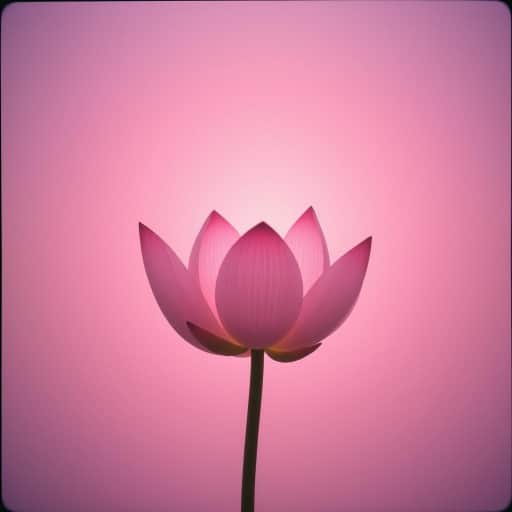 Love Peace Unity:  Volume Self care III