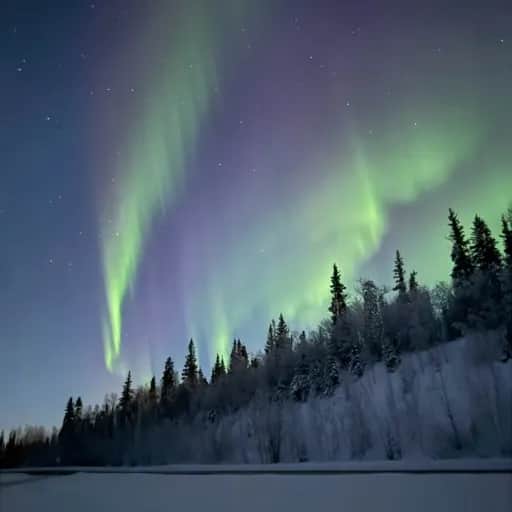 Back Porch Arctic Gospel