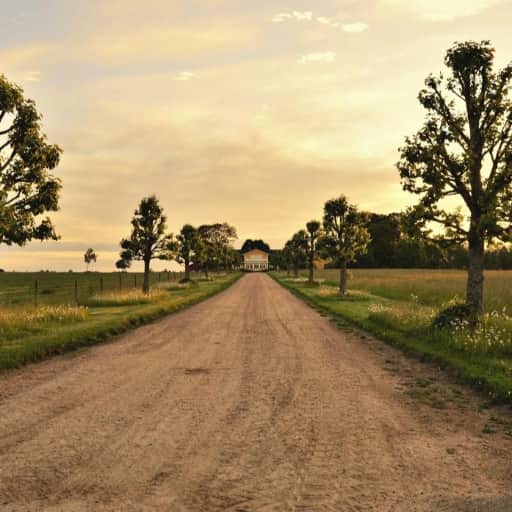 Country 4 life blackwill edition