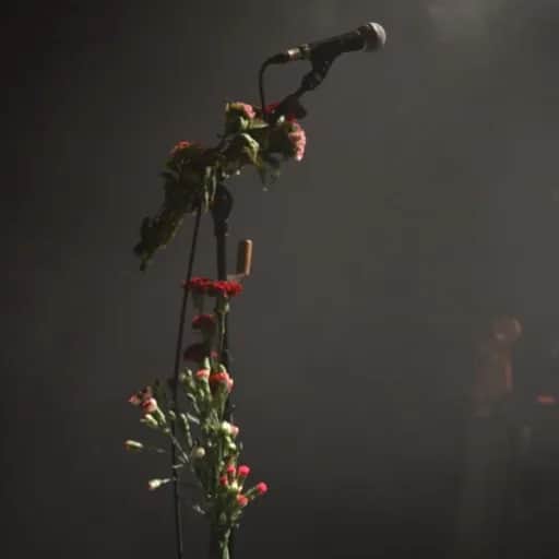 Introspective: A Journey Within