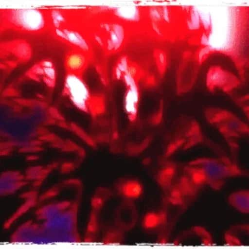 Cruf season pt3 (Mixtape)