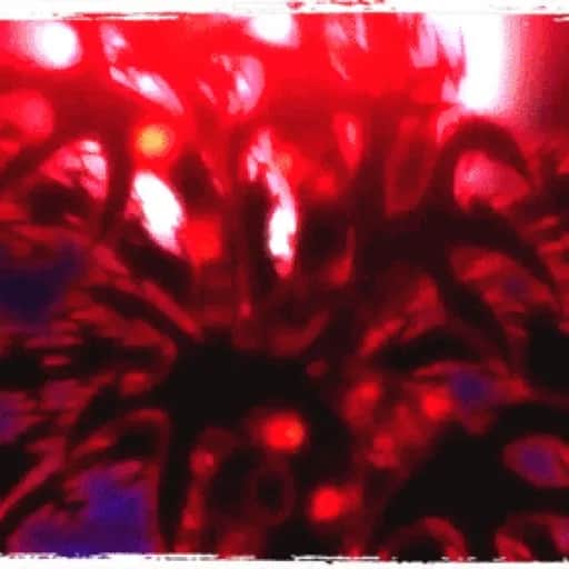 Defamation of character (mixtape)