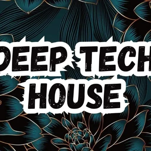 Deep Tech-House - Hardy