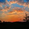 Wihan_Louw_2009