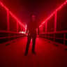 zed