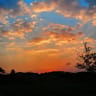 Wihan_Louw_2009