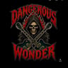 Dangerous_Wonder