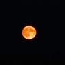 MoonFall