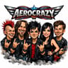 Aerocrazy