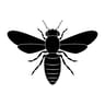 Honey_Bee