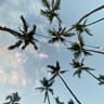 NorthSky