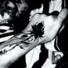 Silencing_shadows