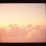 Velvet Dawn