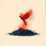 Rise Above